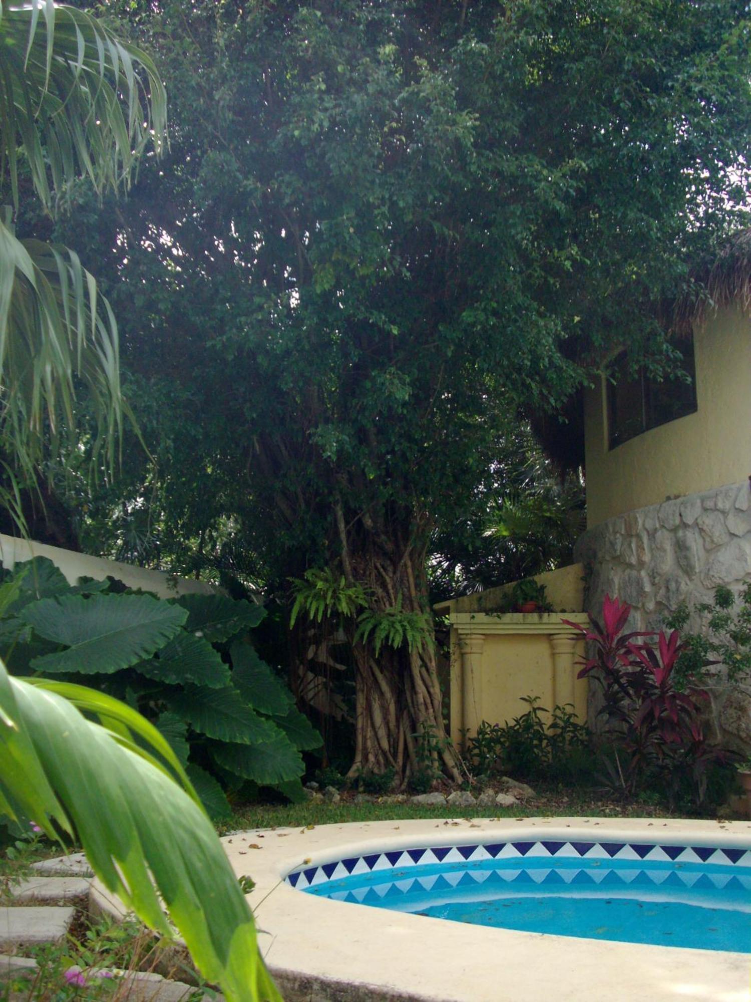 Residencia Los Encantos Cancun Luaran gambar
